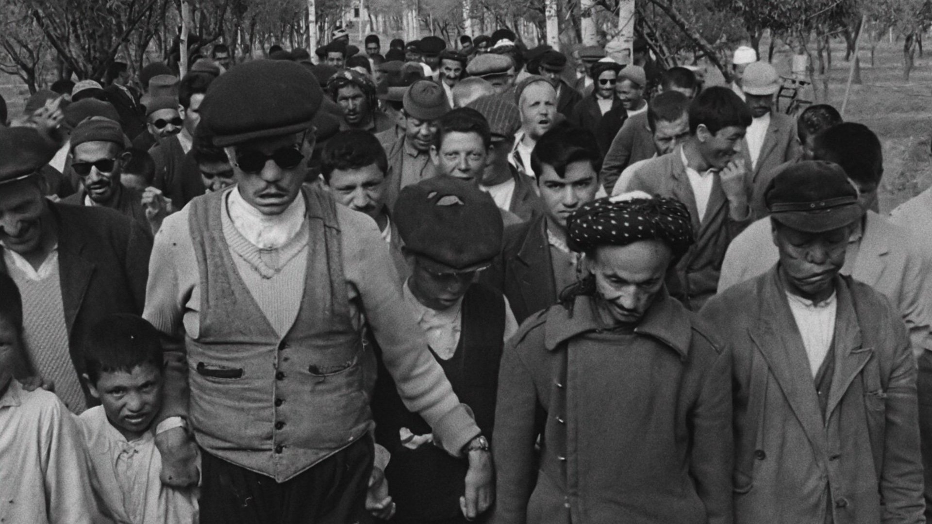 Backdrop for The House Is Black