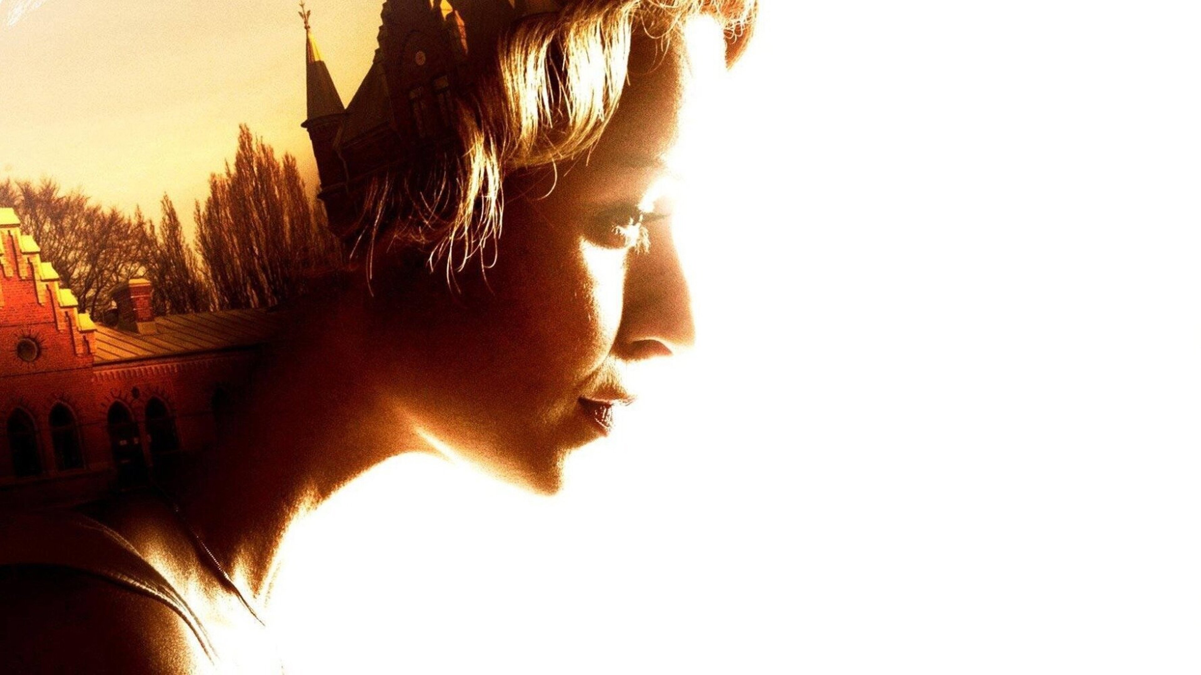 Backdrop for The Fjällbacka Murders: In the Eye of the Beholder