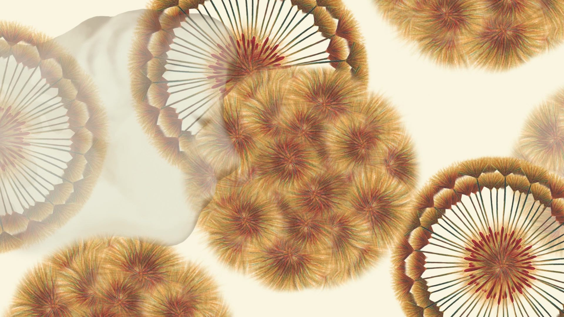 Backdrop for light of temptation