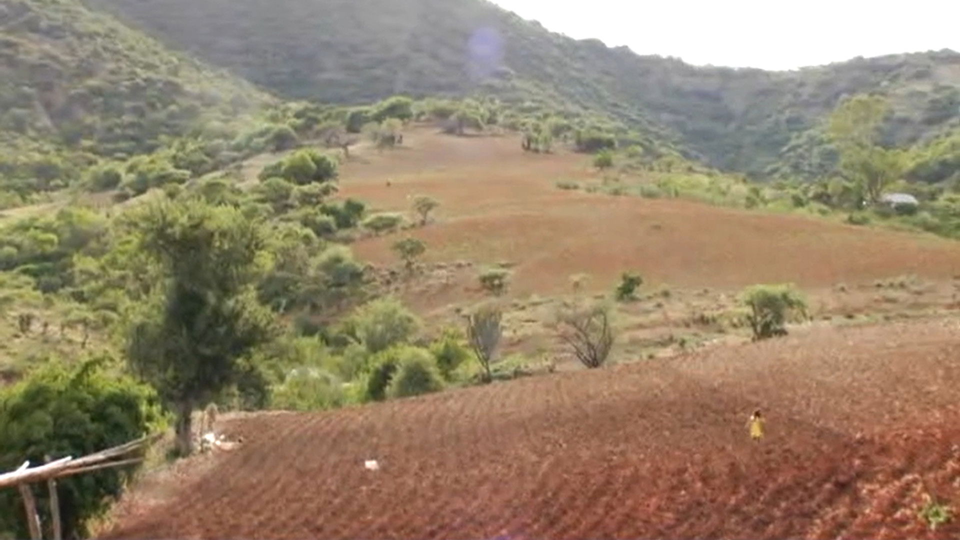 Backdrop for The Inheritors