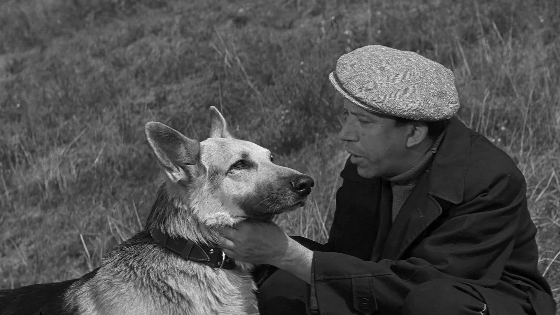 Backdrop for Come Here, Mukhtar!