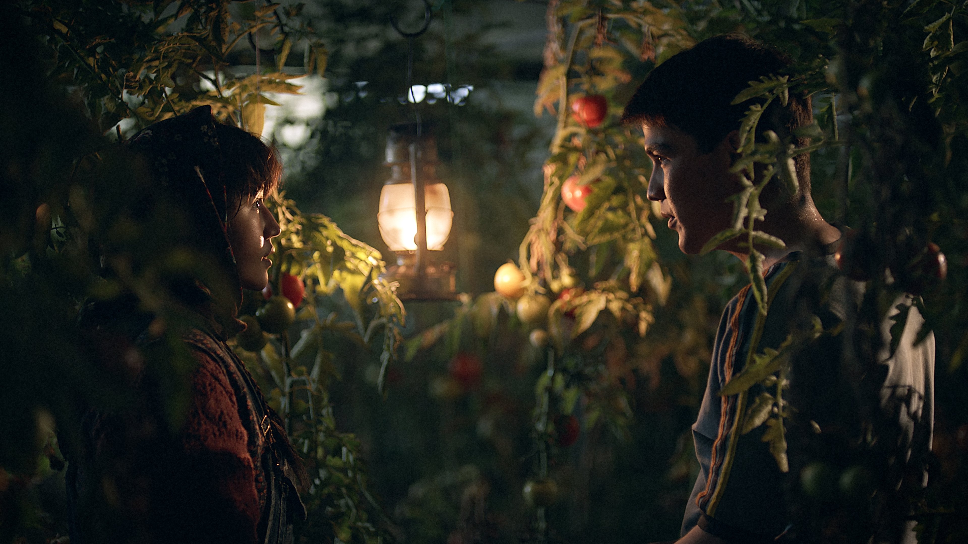 Backdrop for In the Land of Brothers