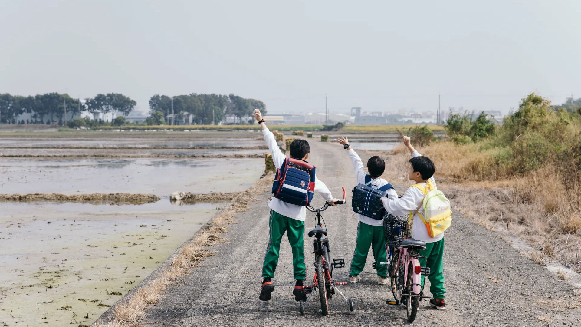 Backdrop for Sky Catcher