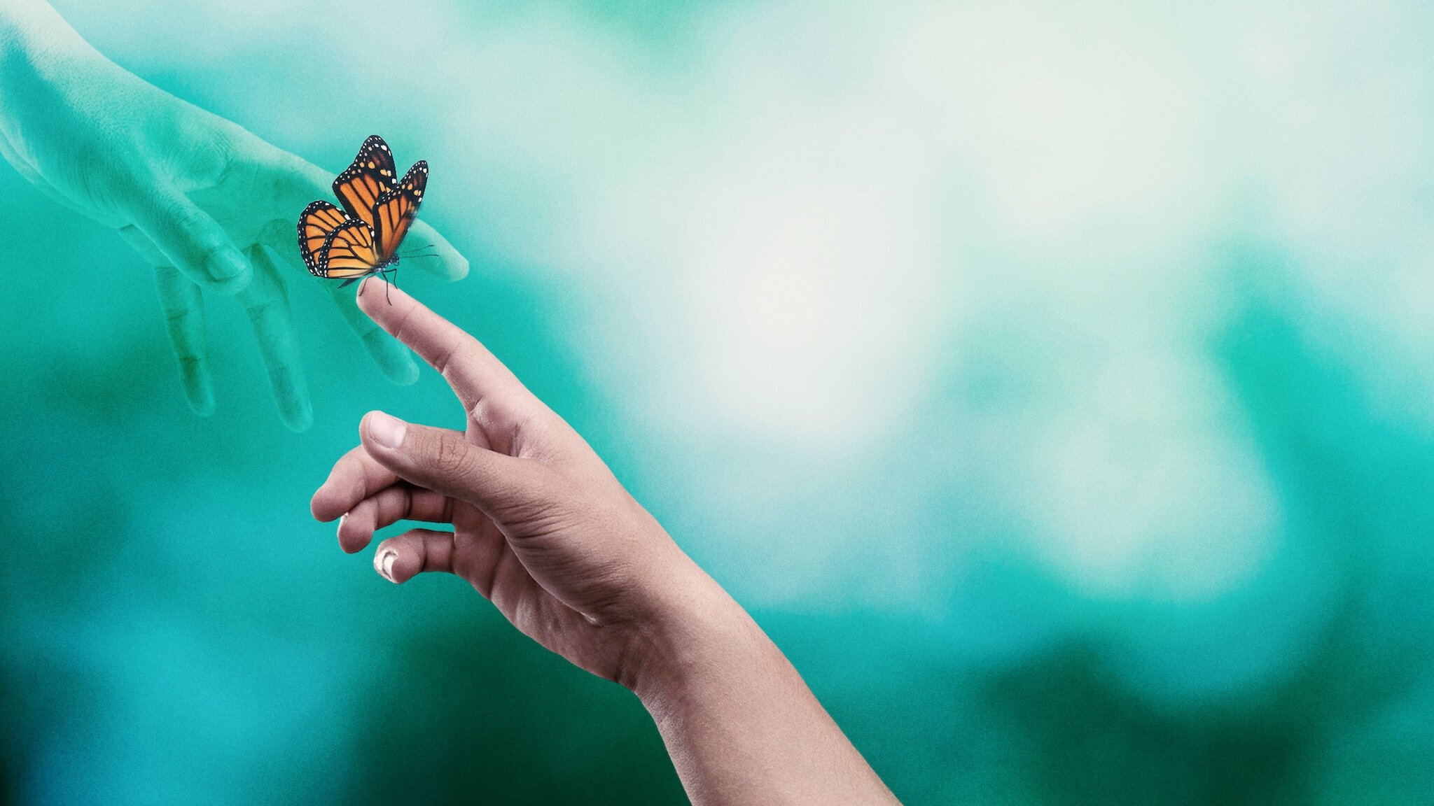 Backdrop for Surviving Death