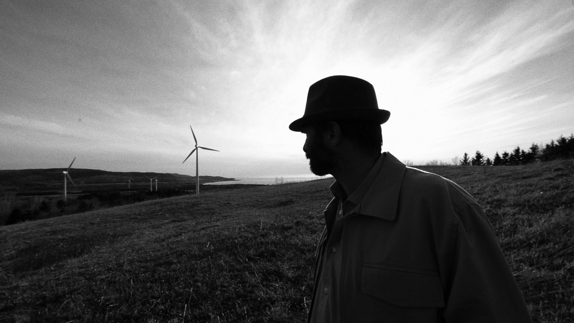 Backdrop for Harry: A Private Eye Documentary