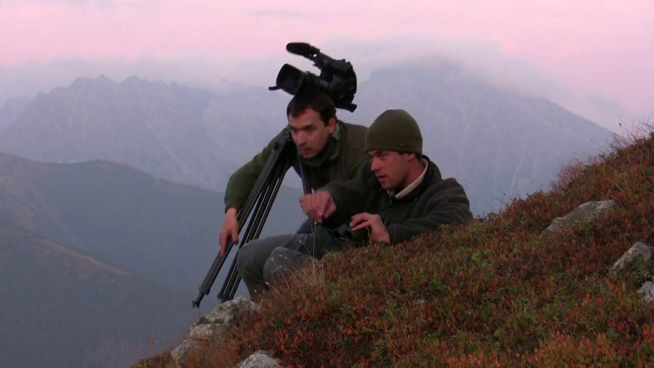 Backdrop for Strážca divočiny