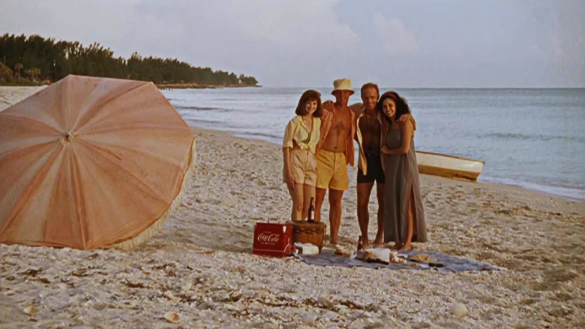 Backdrop for A Flash of Green