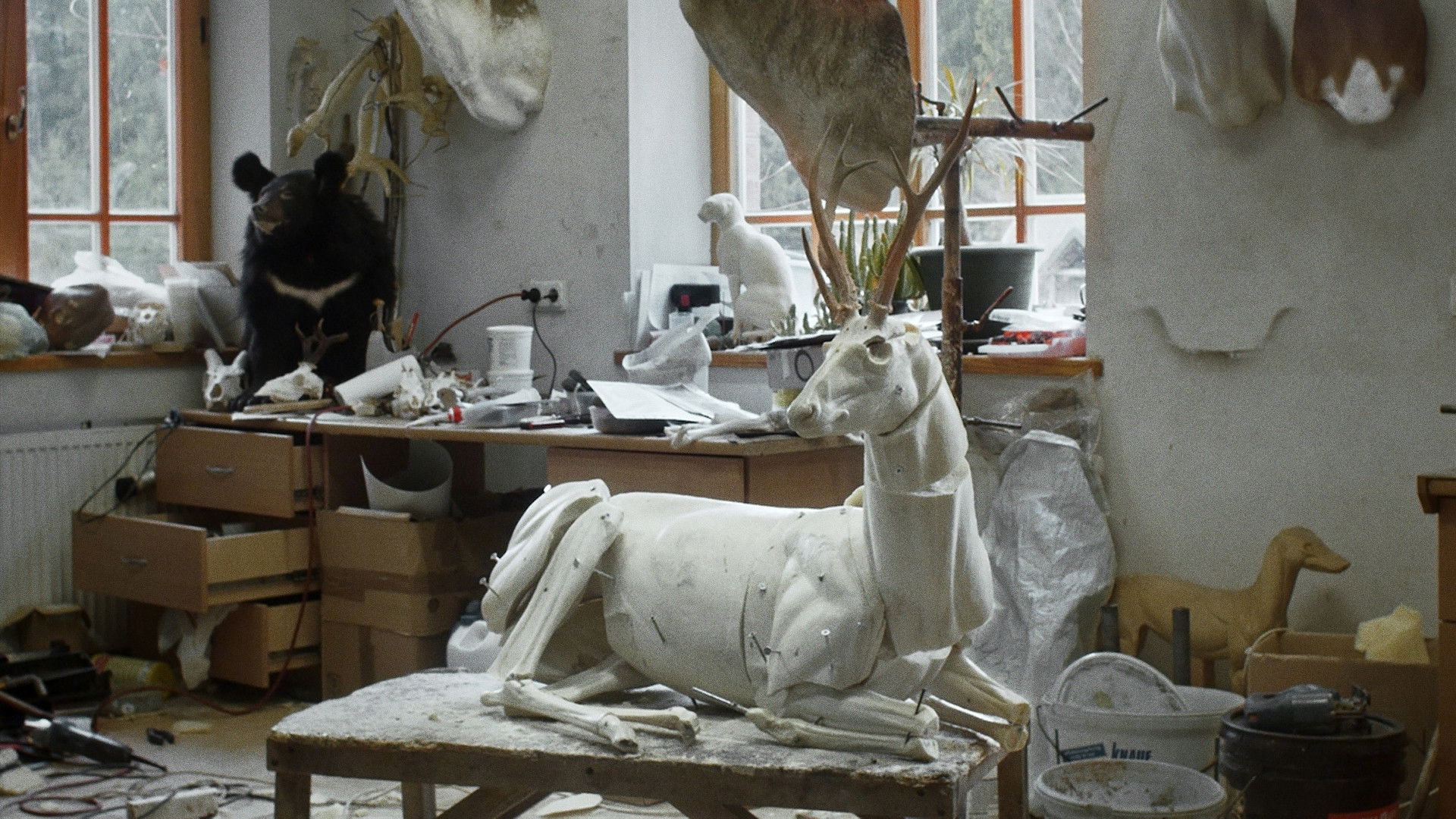 Backdrop for Animus Animalis (A Story about People, Animals and Things)