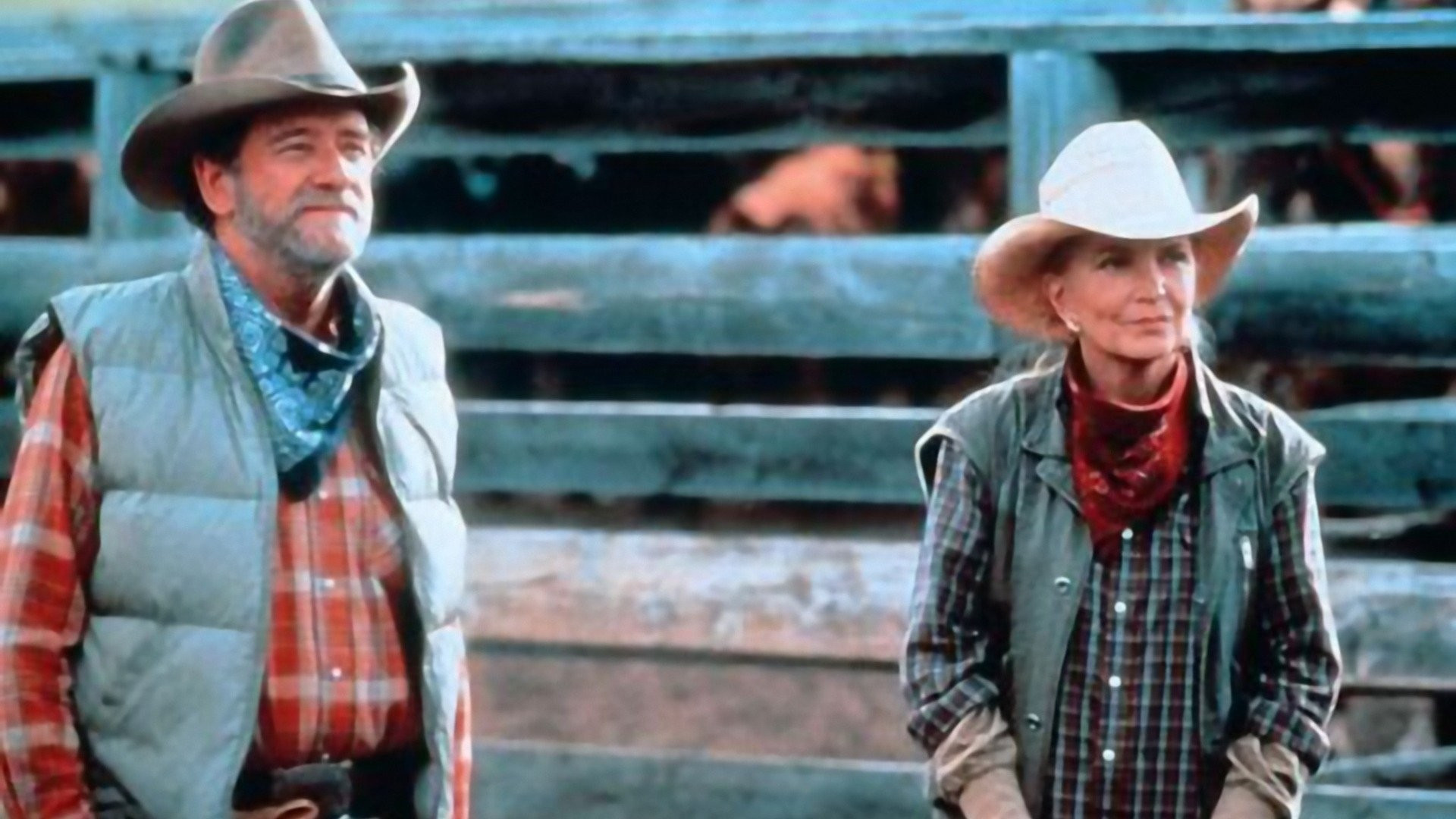 Backdrop for Montana