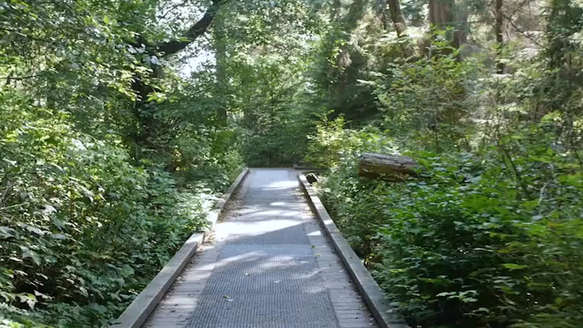 Backdrop for The Lost Vlog of Ruby Real