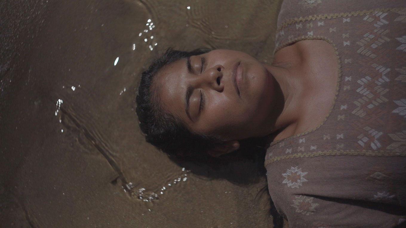 Backdrop for Prairie Flowers