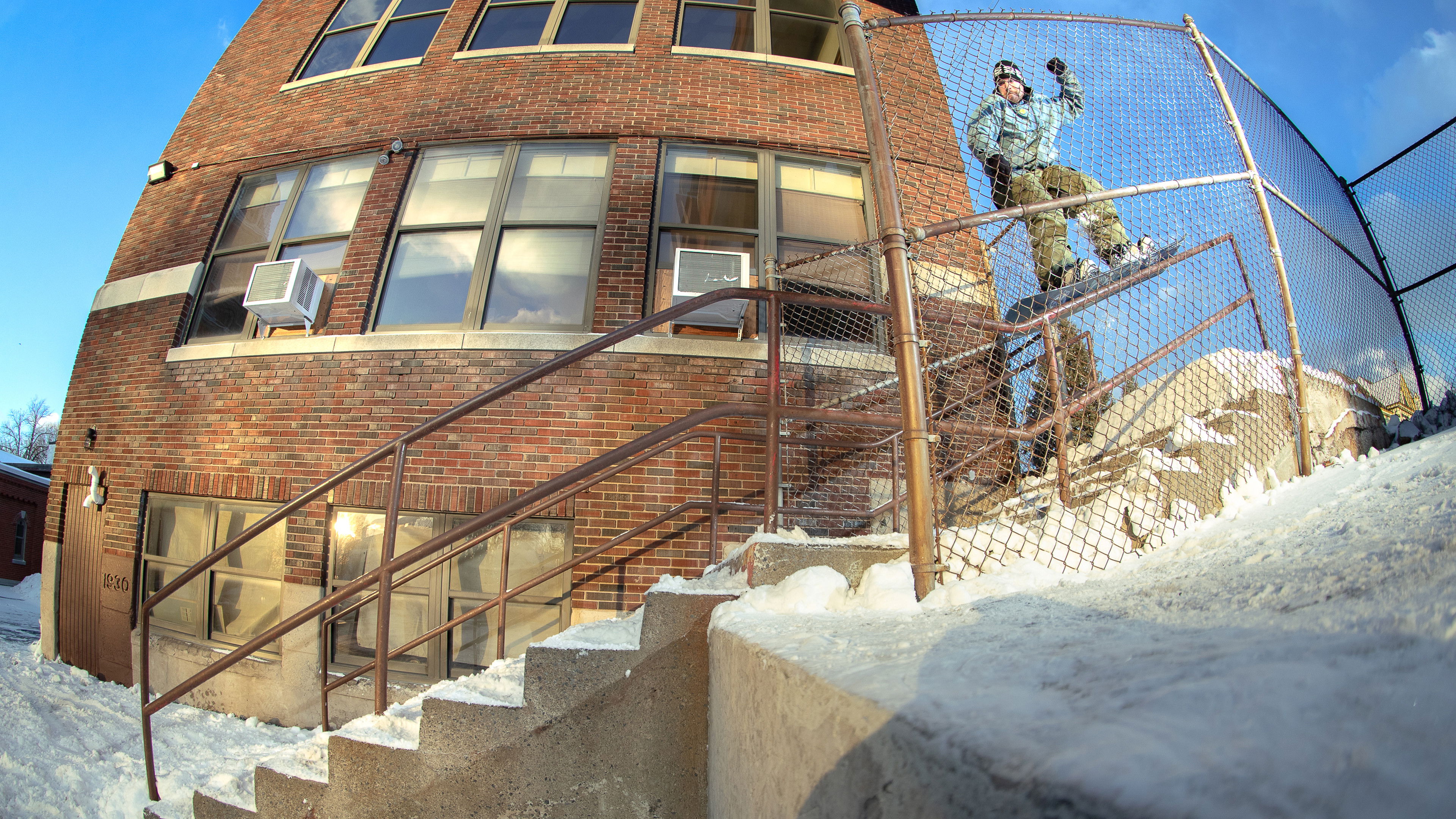 Backdrop for Fruit Fly