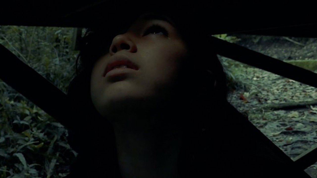 Backdrop for Luz en la oscuridad