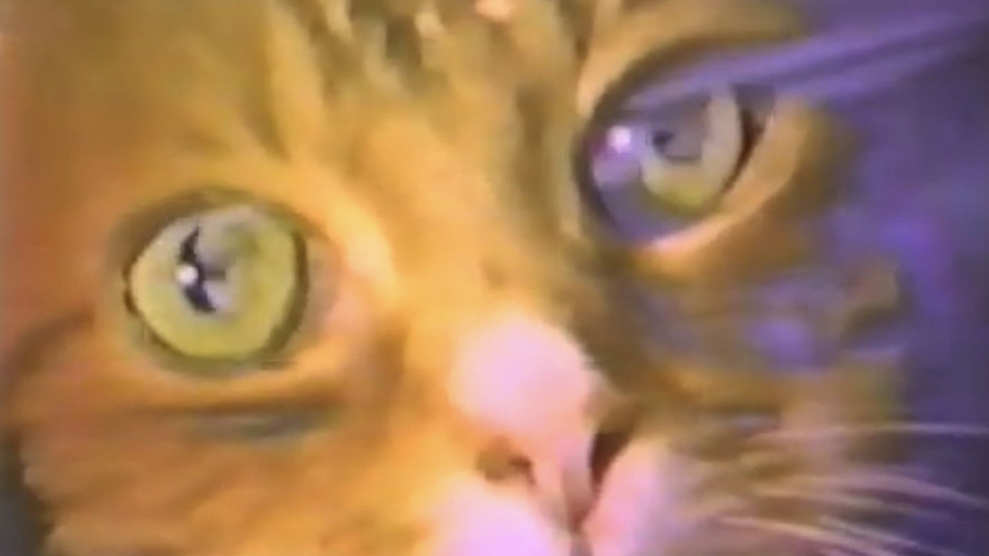 Backdrop for A Study In Scarlet