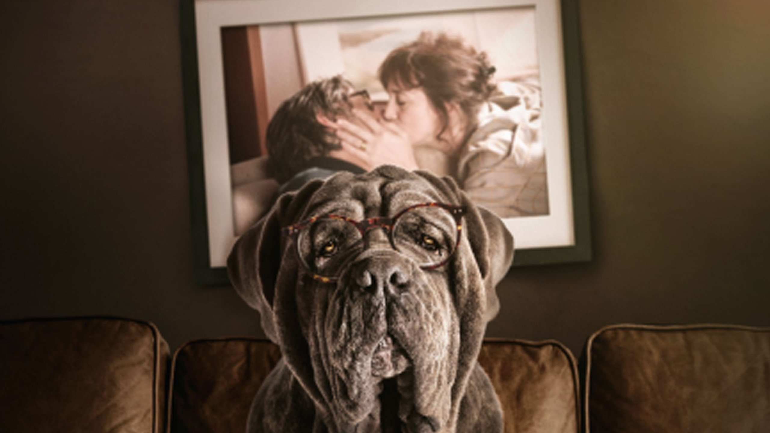 Backdrop for My Dog Stupid