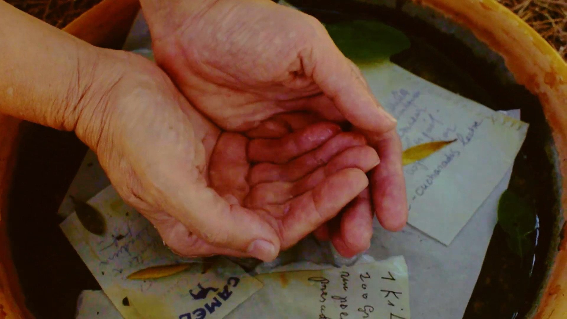 Backdrop for A garden of words