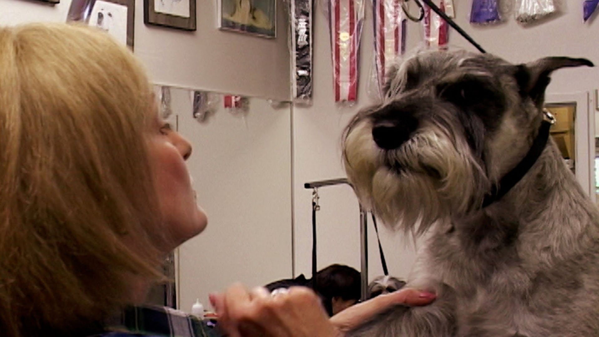 Backdrop for Going to the Dogs