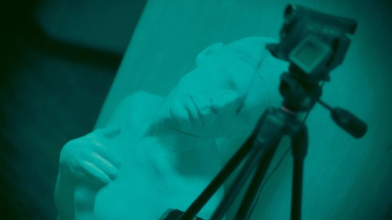 Backdrop for Mitosis