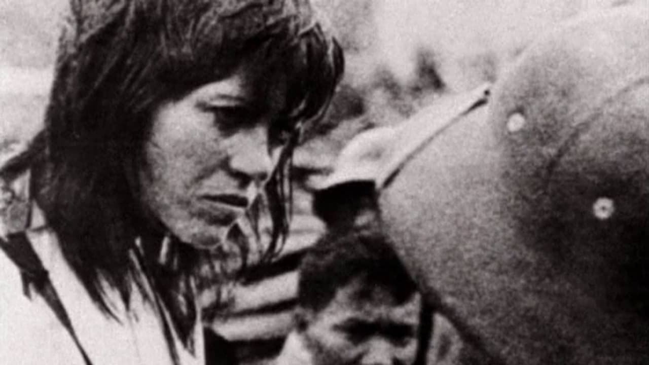 Backdrop for Letter to Jane: An Investigation About a Still