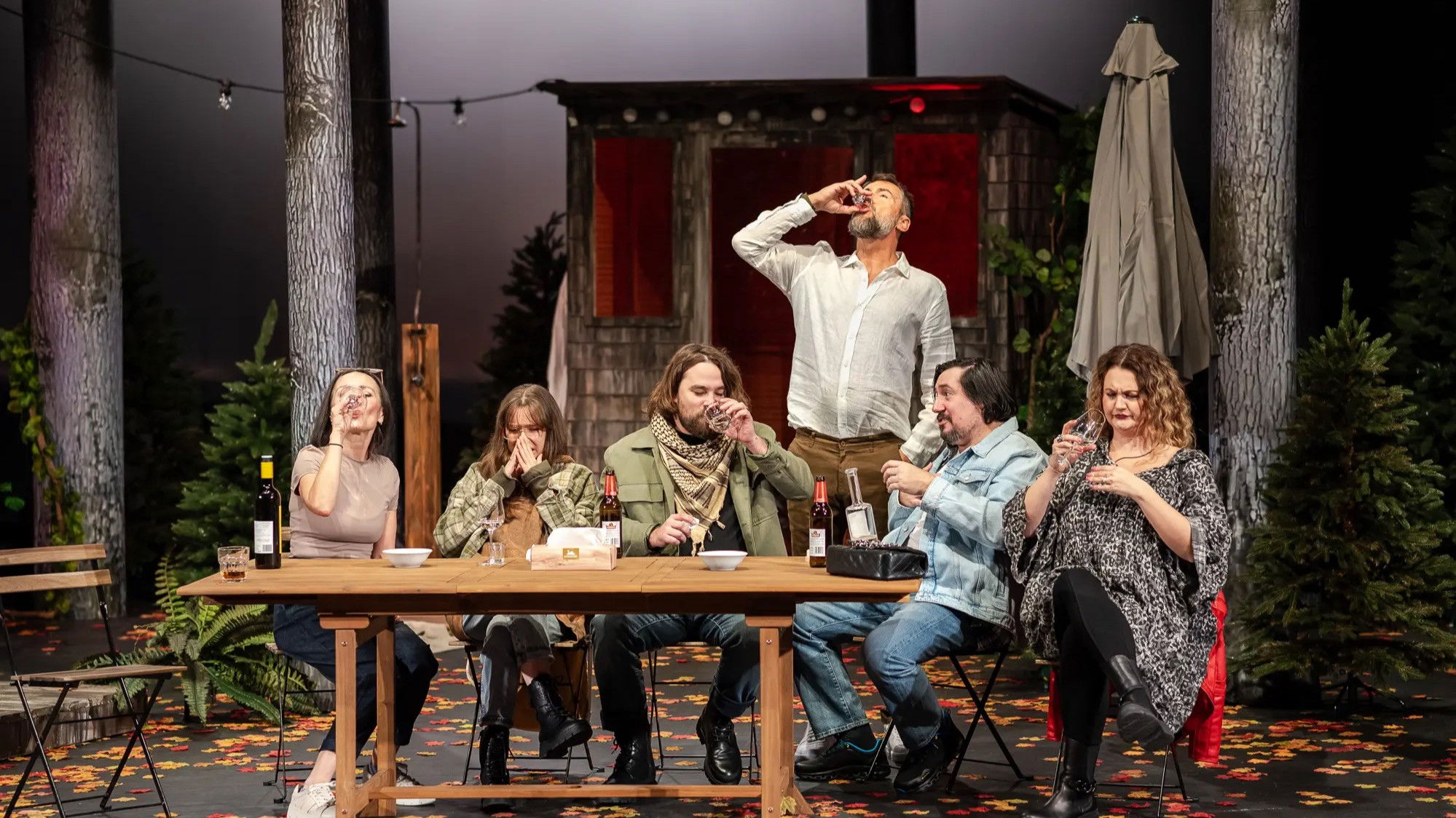 Backdrop for Narozeniny