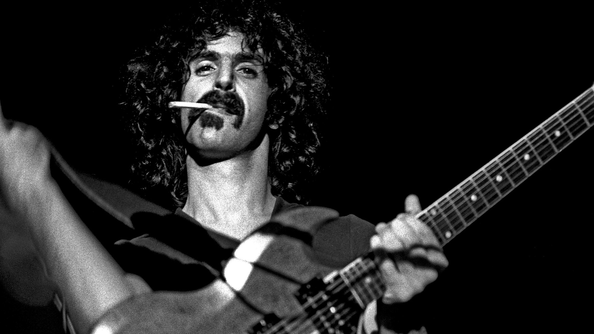 Backdrop for Frank Zappa: A Pioneer of the Future of Music