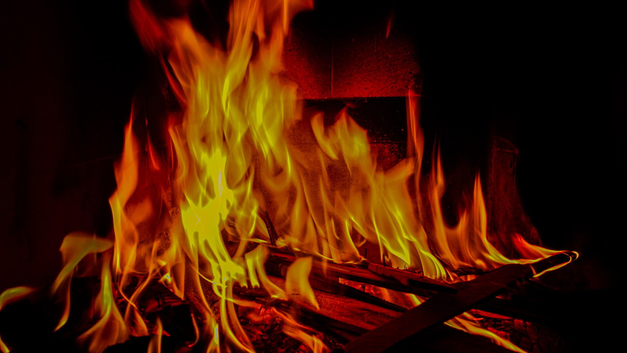 Backdrop for Chamas da Paixão