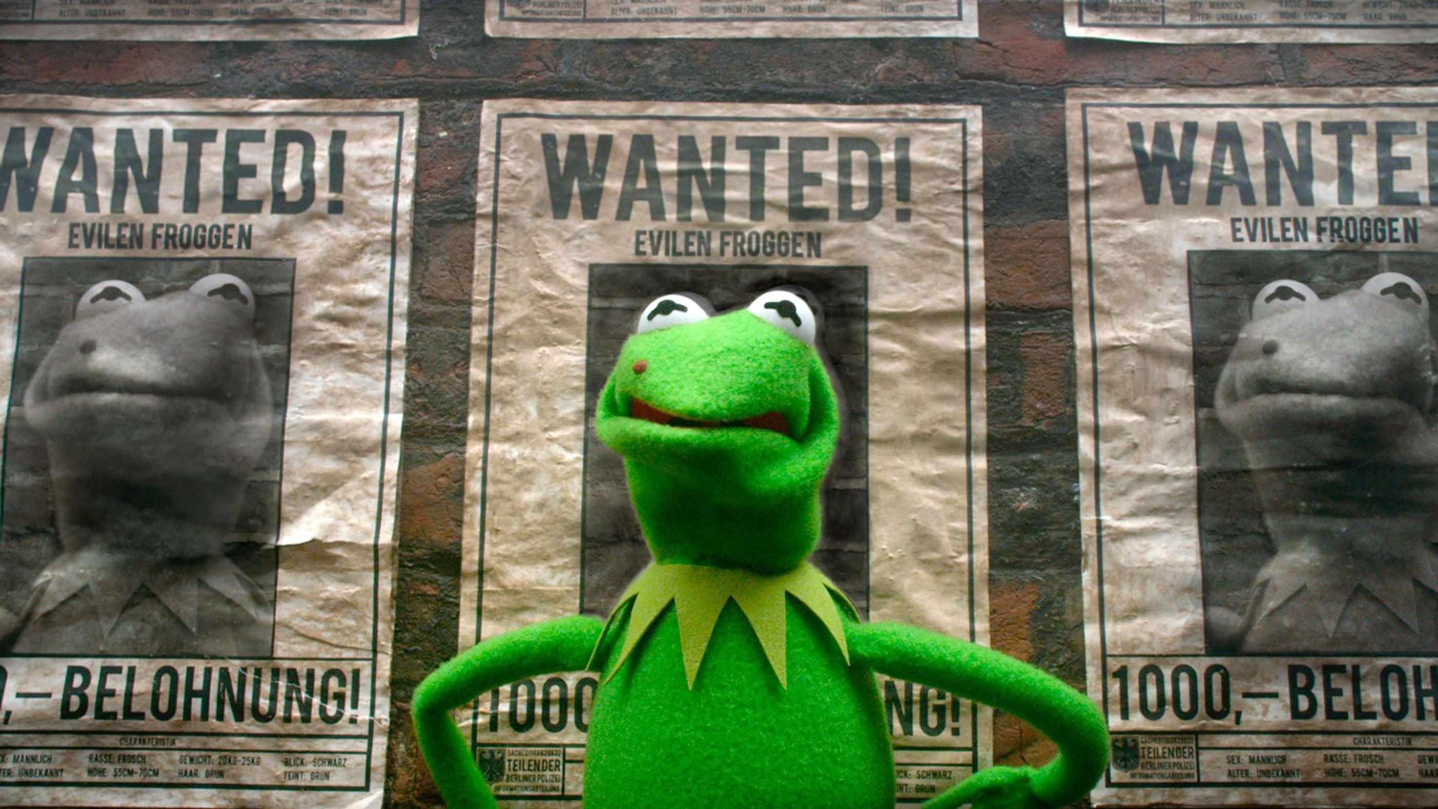 Backdrop for Muppets Most Wanted