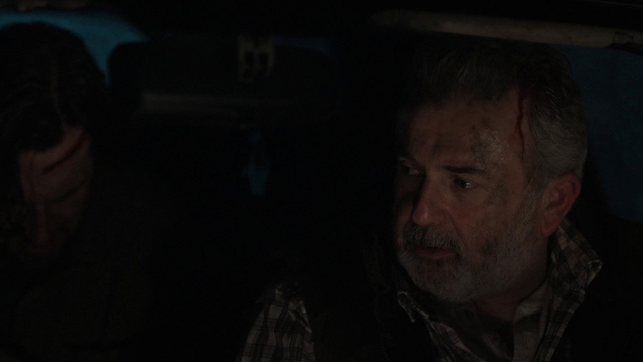 Backdrop for Lie of the Land