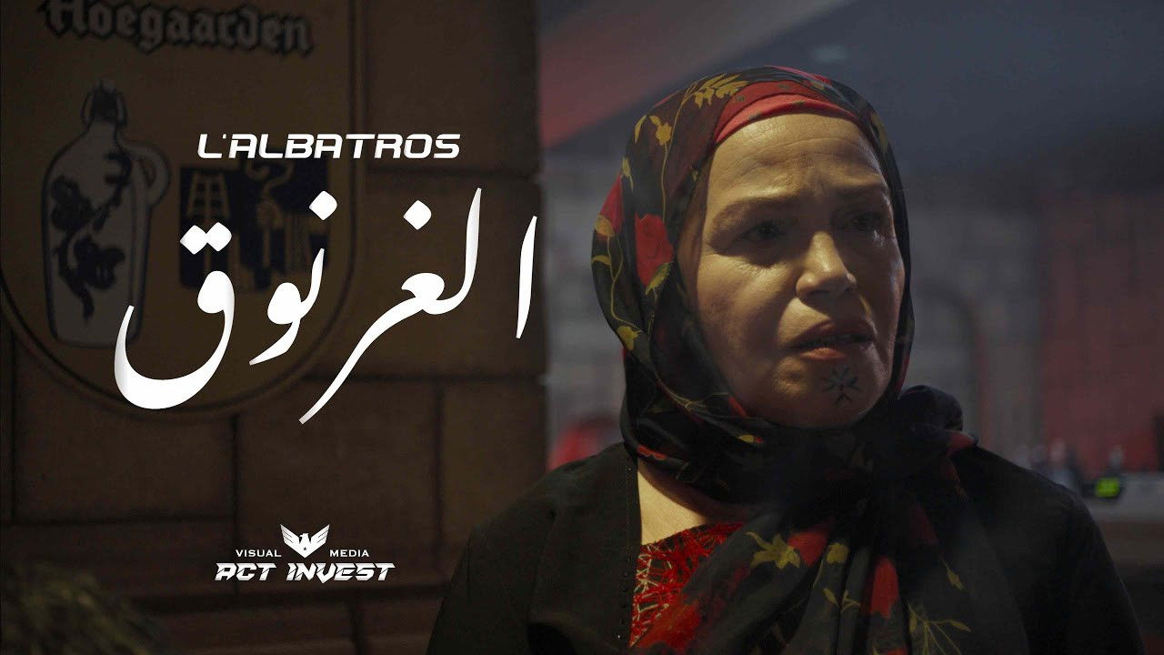 Backdrop for Albatros