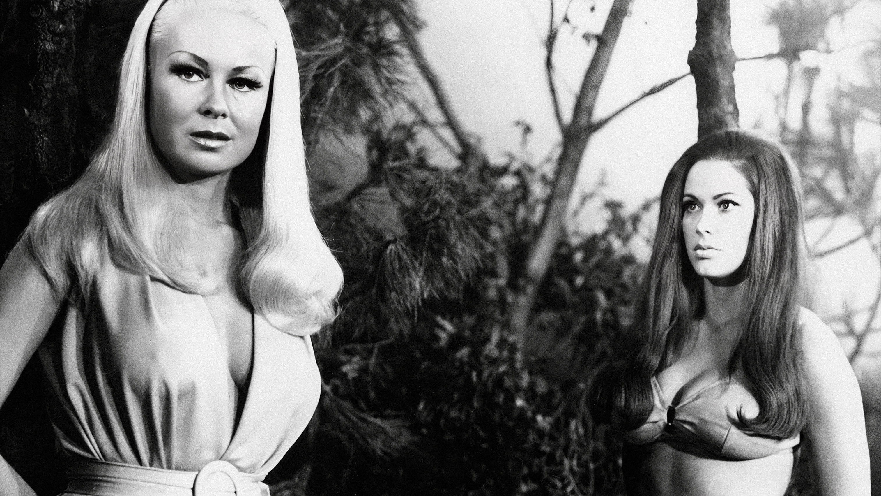 Backdrop for Bigfoot