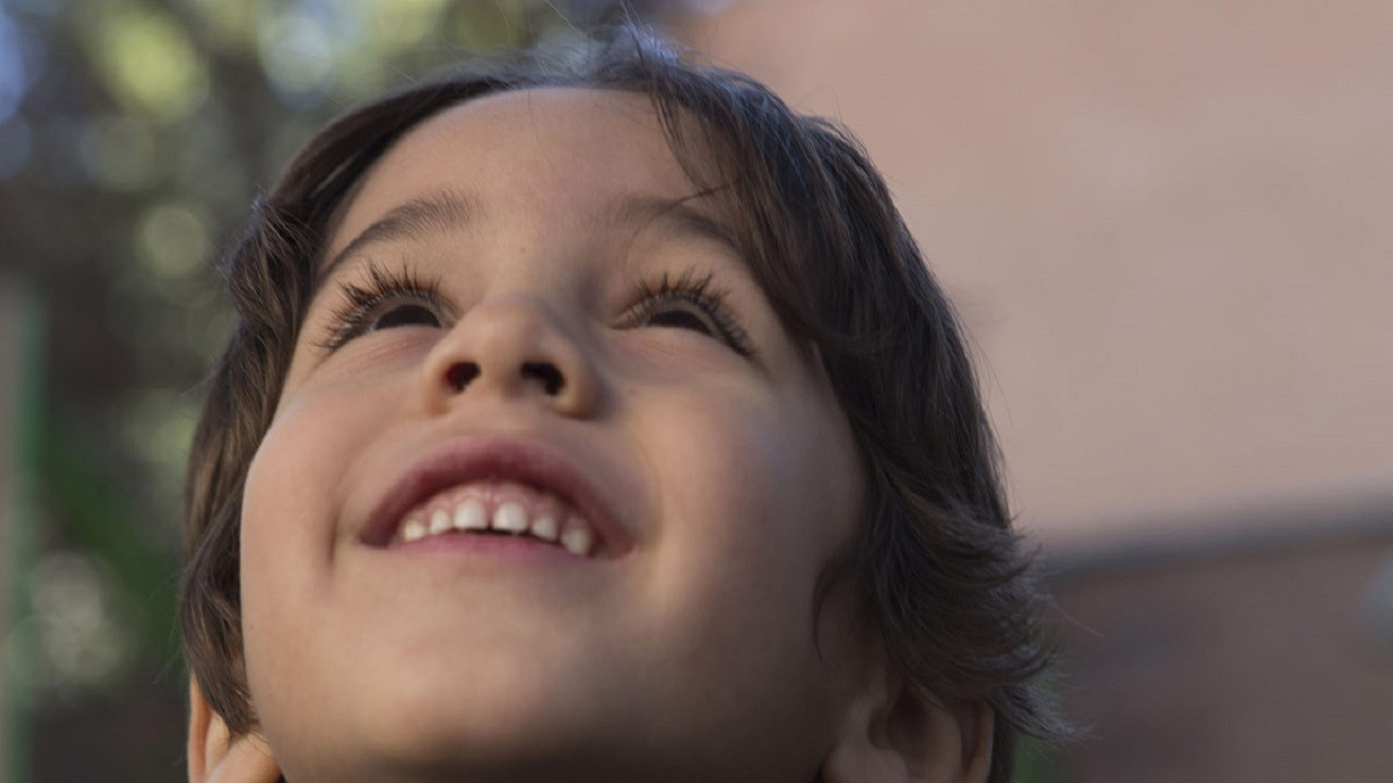 Backdrop for The Boy Who Wanted to Fly