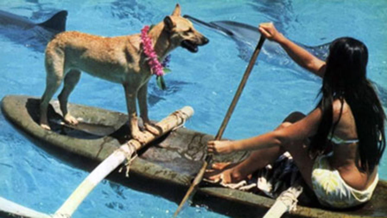 Backdrop for Fratello mare