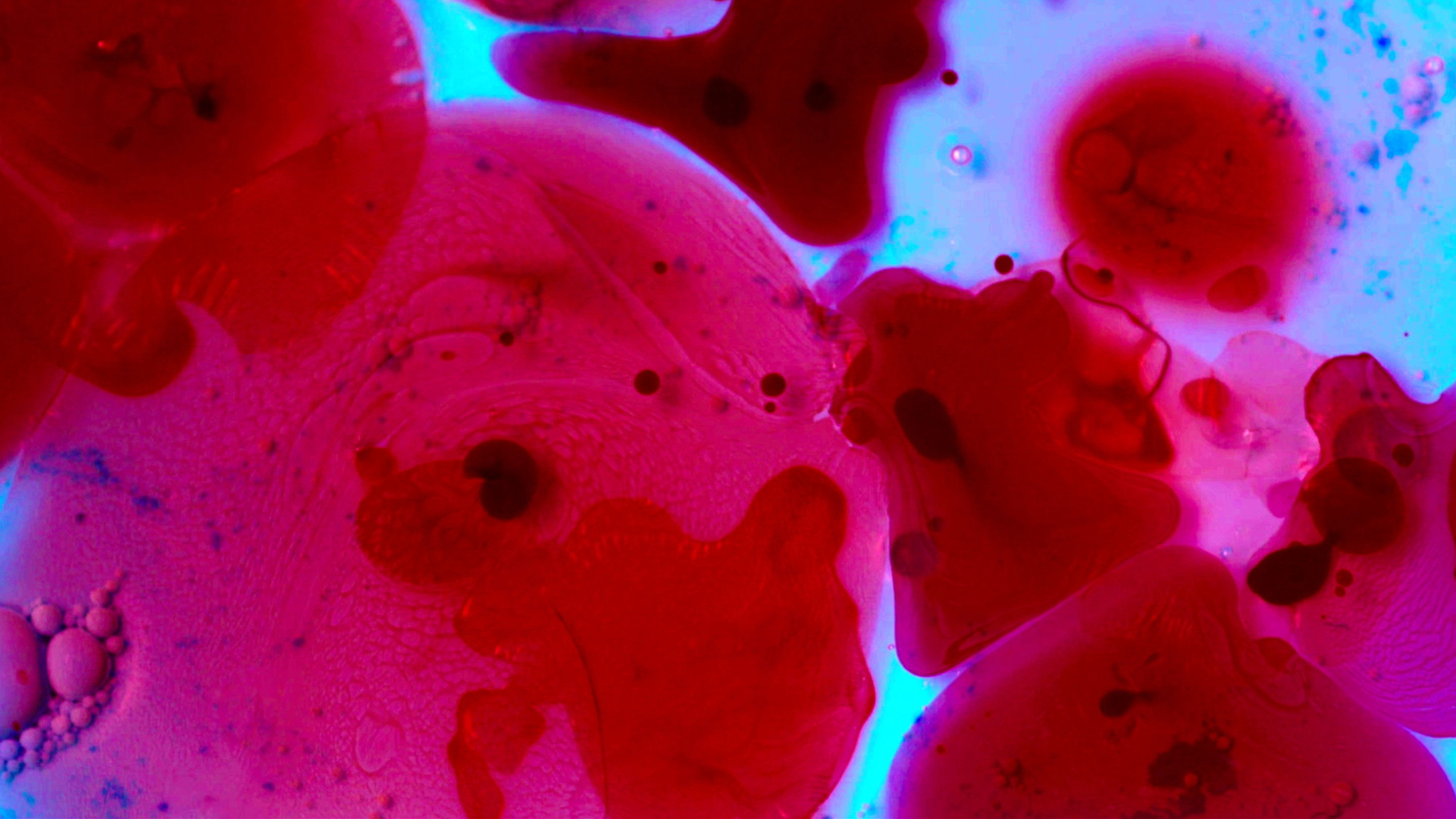 Backdrop for Meu Céu E O Seu Inferno