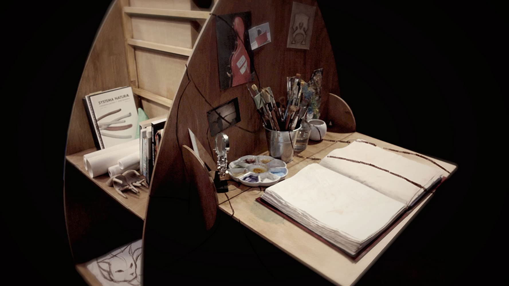 Backdrop for Tocadora