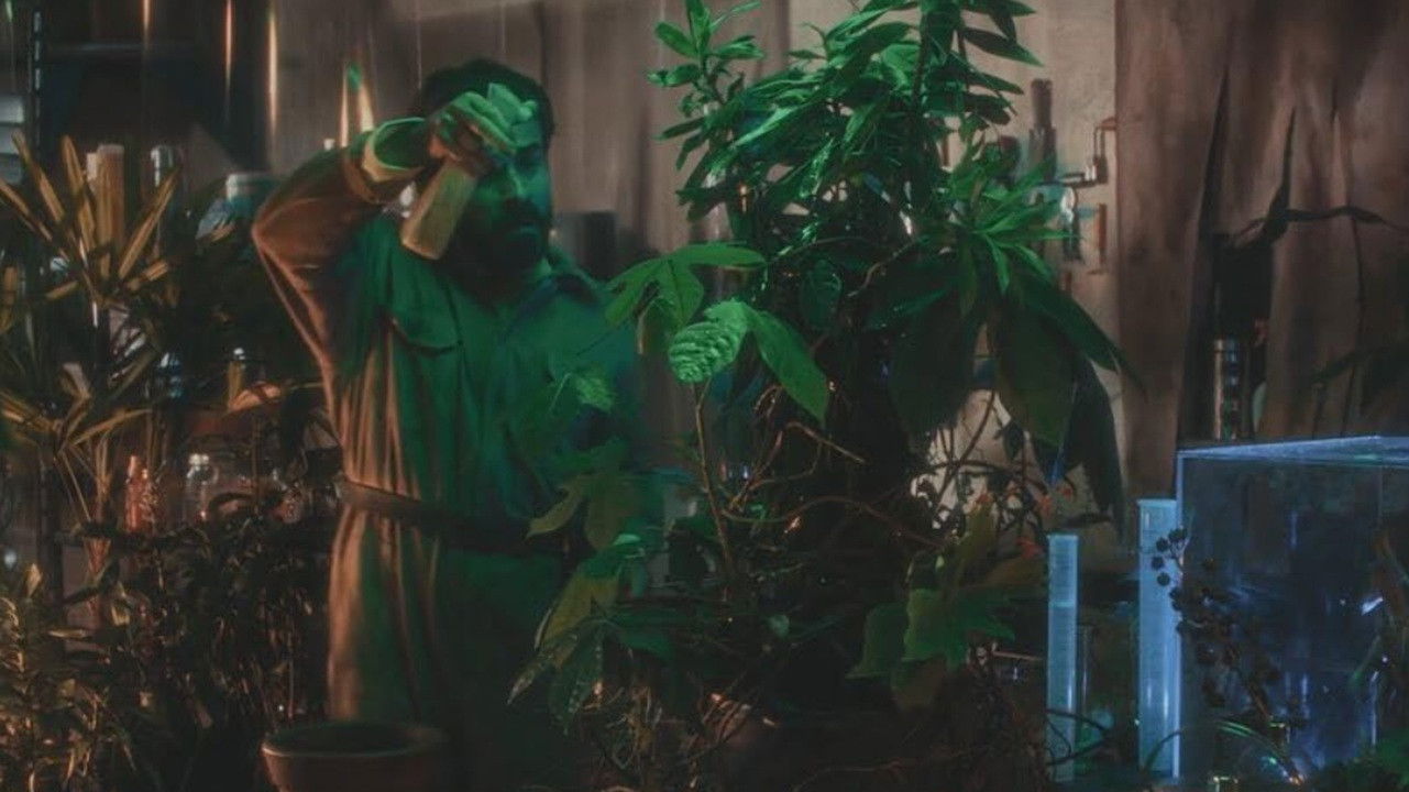 Backdrop for Até o Caroço