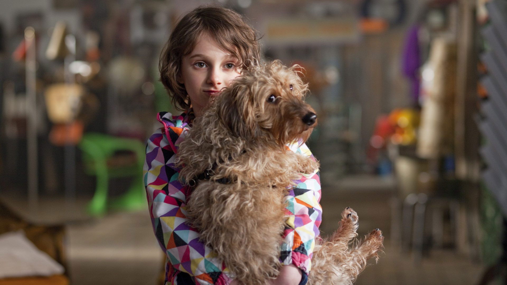 Backdrop for Taking Chances