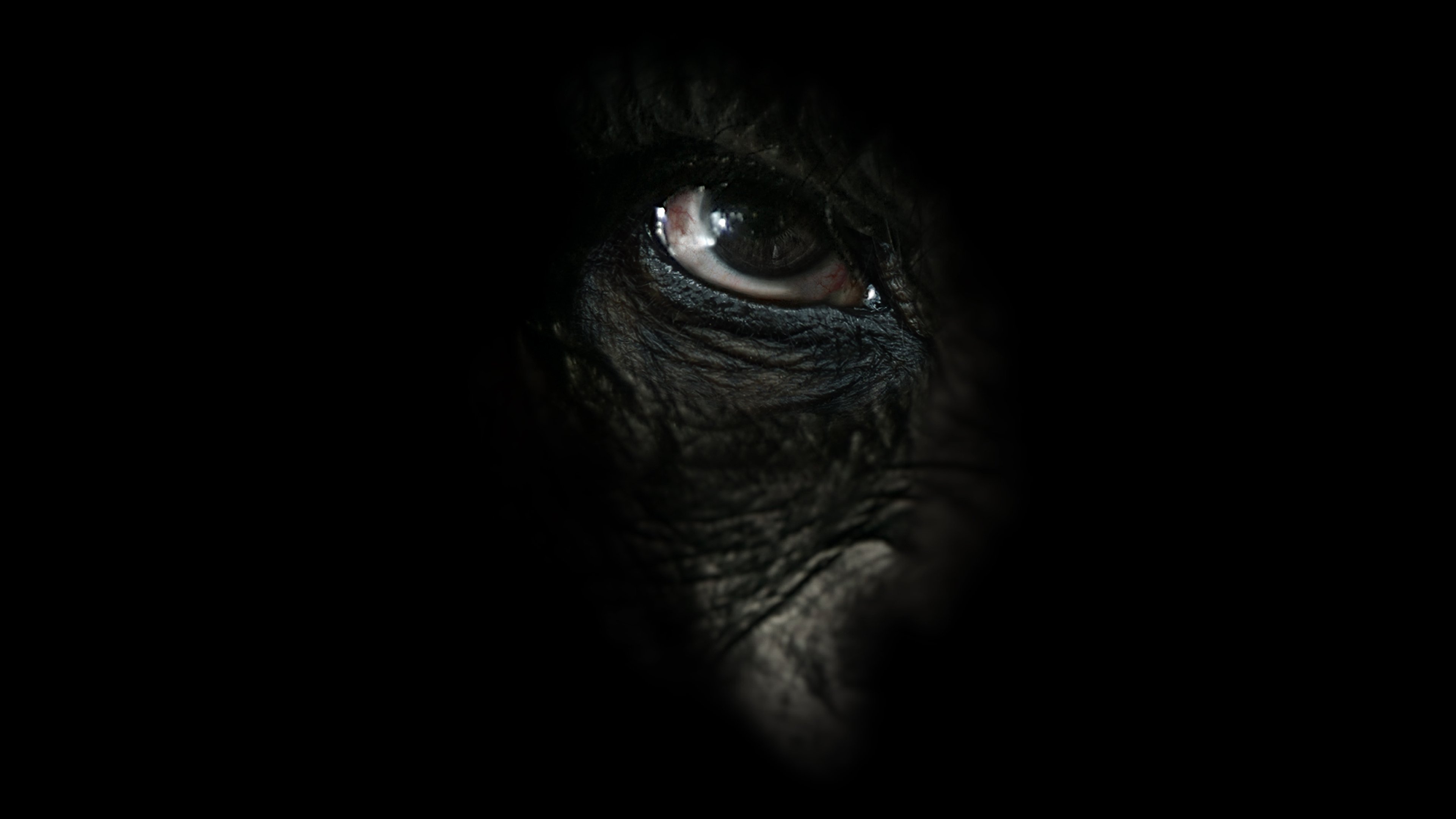 Backdrop for Rise of the Warrior Apes