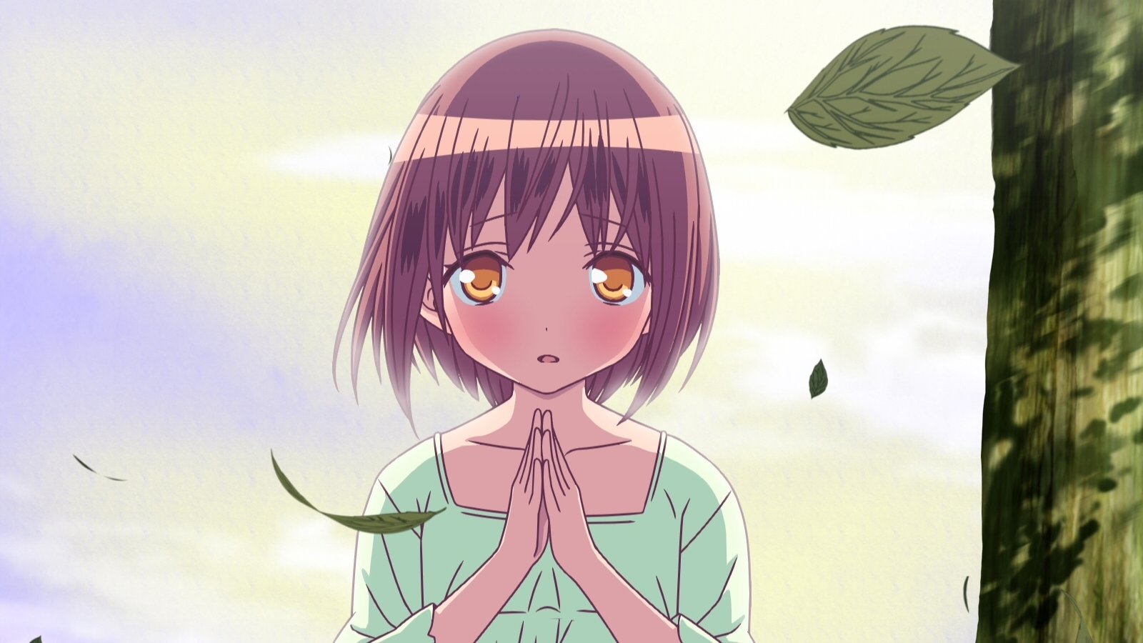 Backdrop for Momoiro Bouenkyou Anime Edition