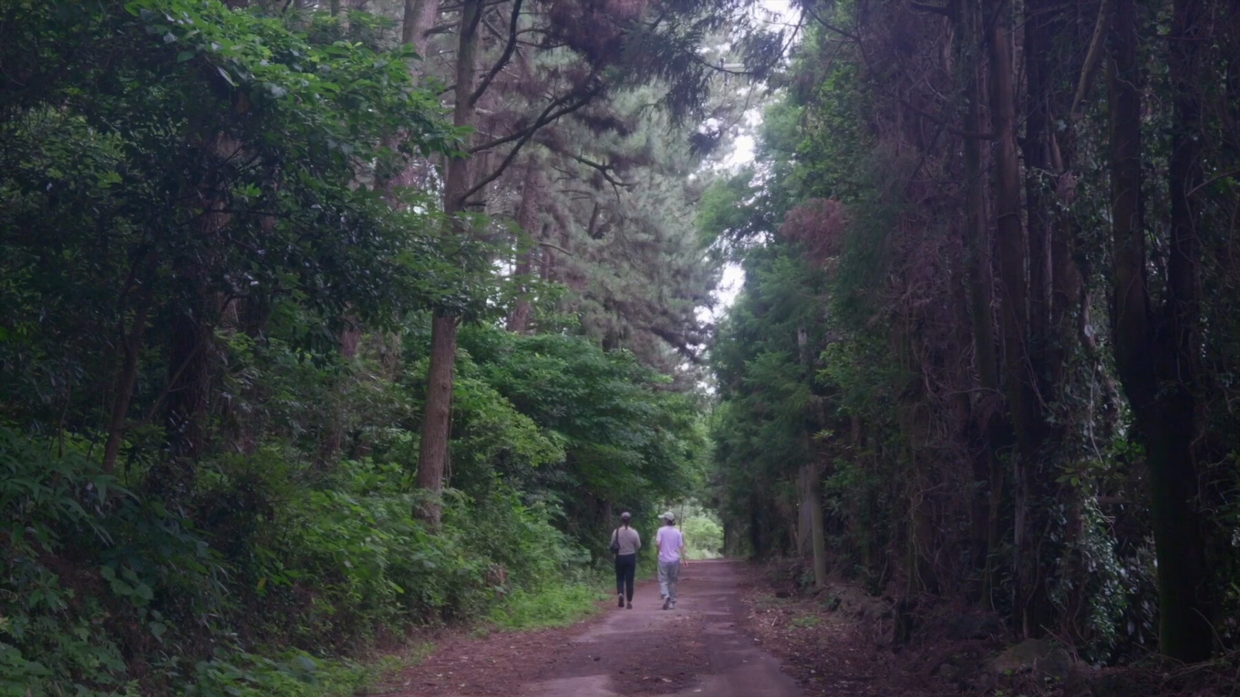 Backdrop for The Time of Jeju