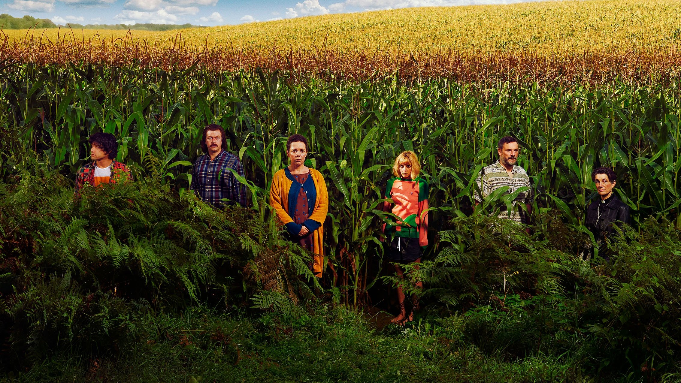 Backdrop for Flowers