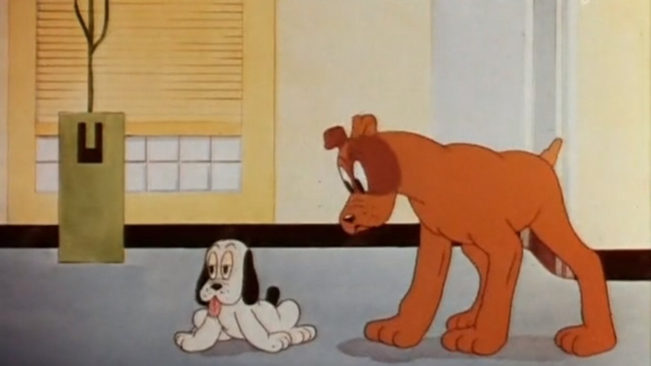 Backdrop for Dog Gone Modern