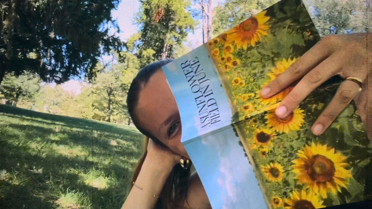 Backdrop for A Sunflower Field in June