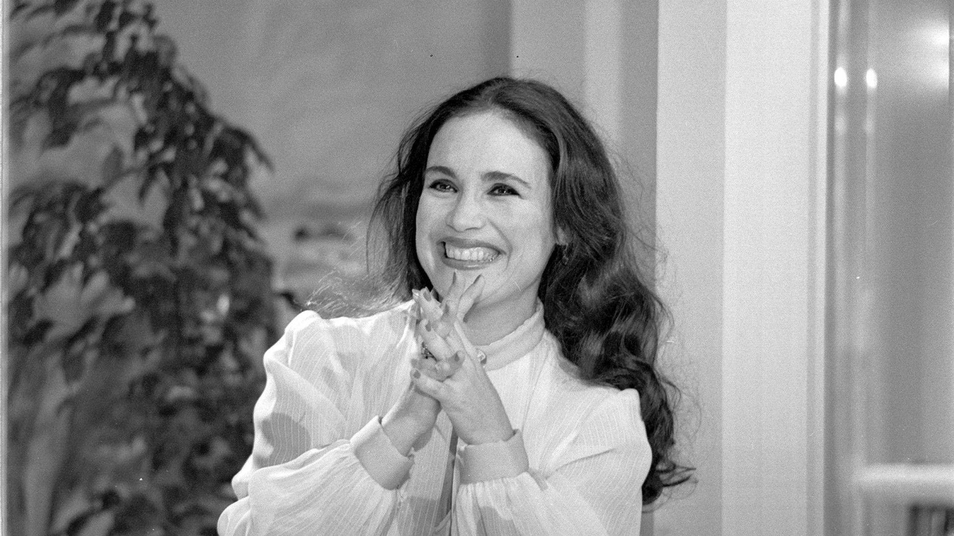 Backdrop for Sétimo Sentido