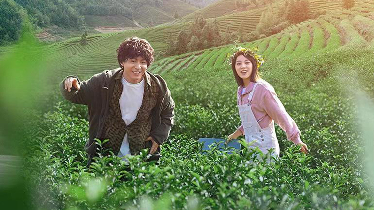 Backdrop for Grandpa Tea