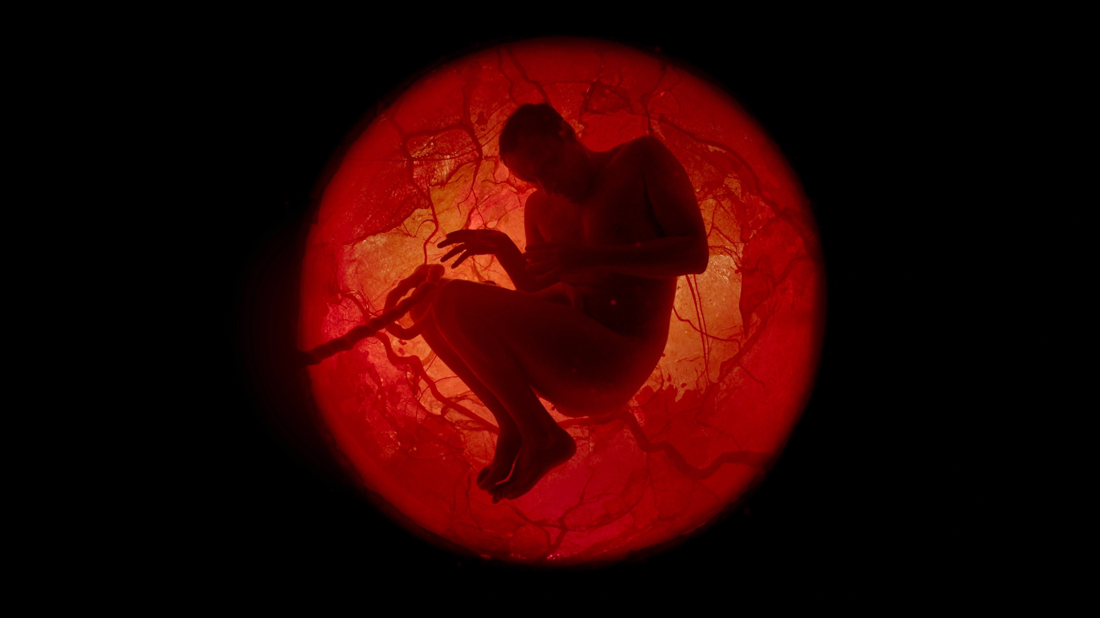 Backdrop for A Whole Lifetime with Jamie Demetriou