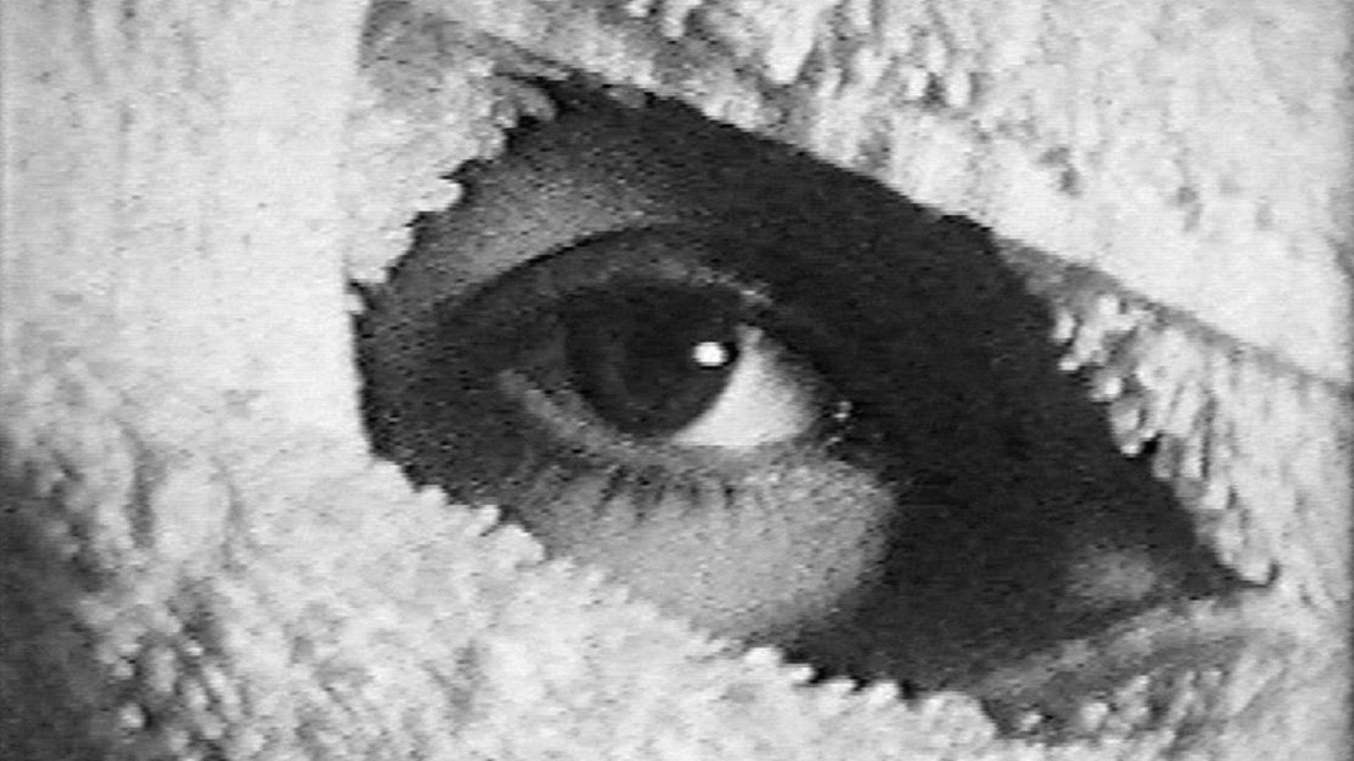 Backdrop for Pneurosis (en el baño)