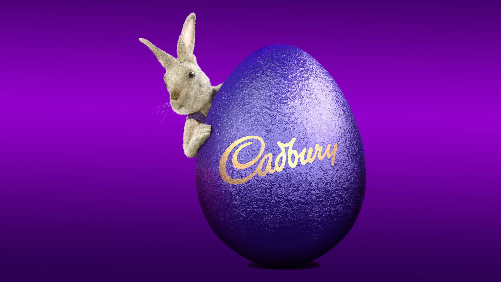 Backdrop for The Chocolate Factory: Inside Cadbury Australia