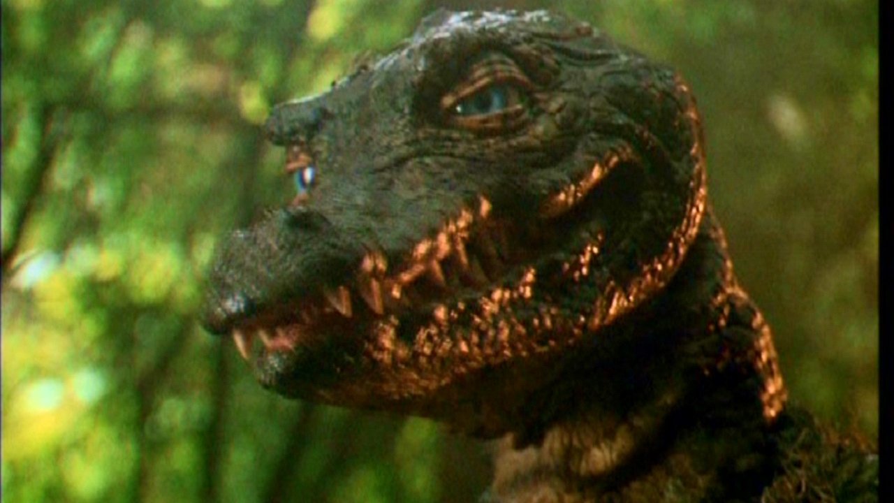 Backdrop for The Legend of Gator Face