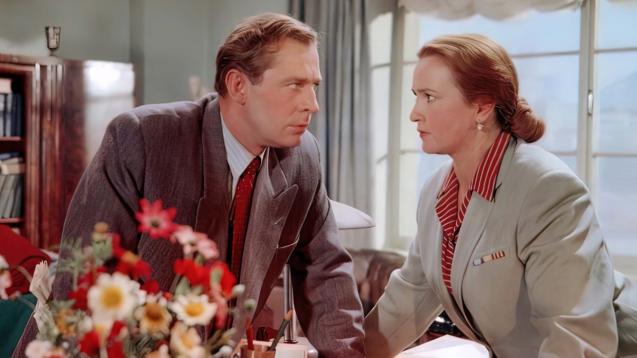 Backdrop for Behind Show Windows