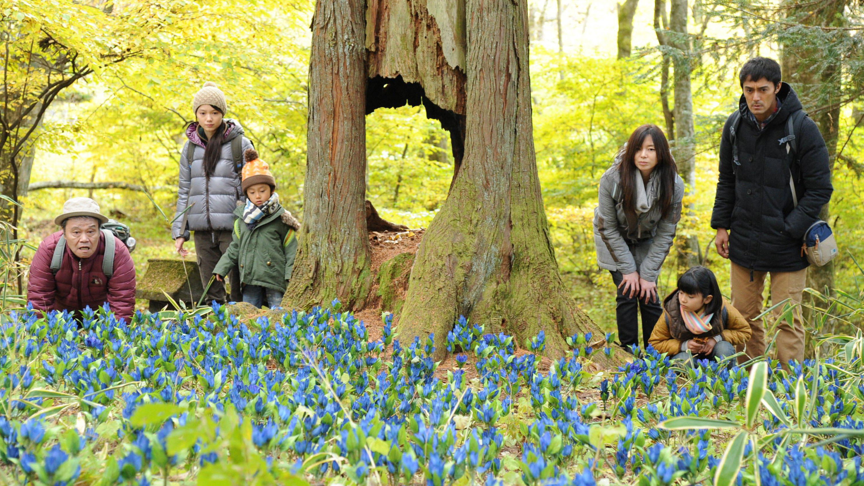 Backdrop for Going My Home